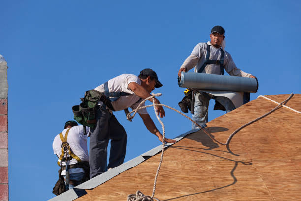 Professional Roofing Contractor in Jeffersonville, IN
